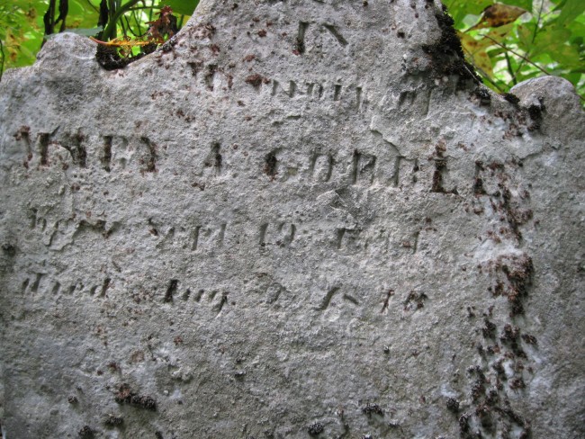 Mary A. Gobble stone (close-up)
Abraham Gobble Cemetery (2009)