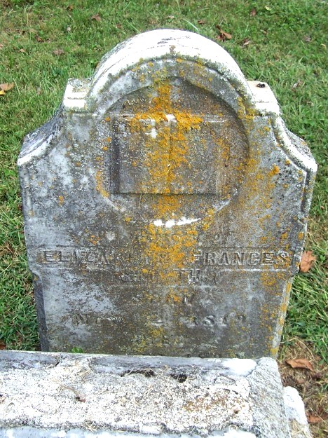 Elizabeth Frances Smyth stone (original)
Smyth's Chapel Cemetery (2010)