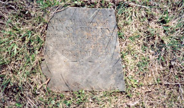 Mary (Buchanan) Fullen stone
Buchanan Cemetrey (2002)