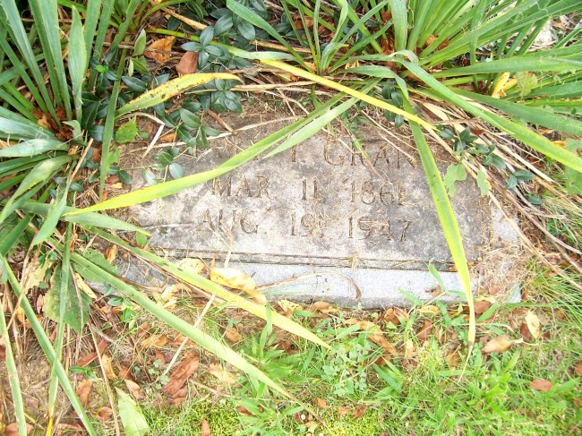 Mollie Irene (Glenn) Grant stone
Bethel Cemetery (2010)