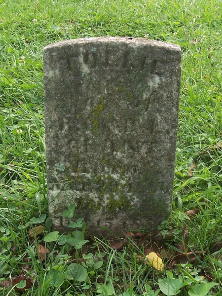 Tollie Grant stone
Bethel Cemetery (2010)